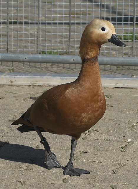 观众带来更