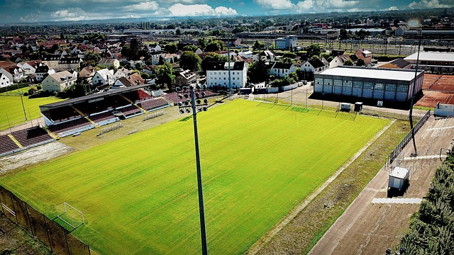 球队的整体 球队的整体